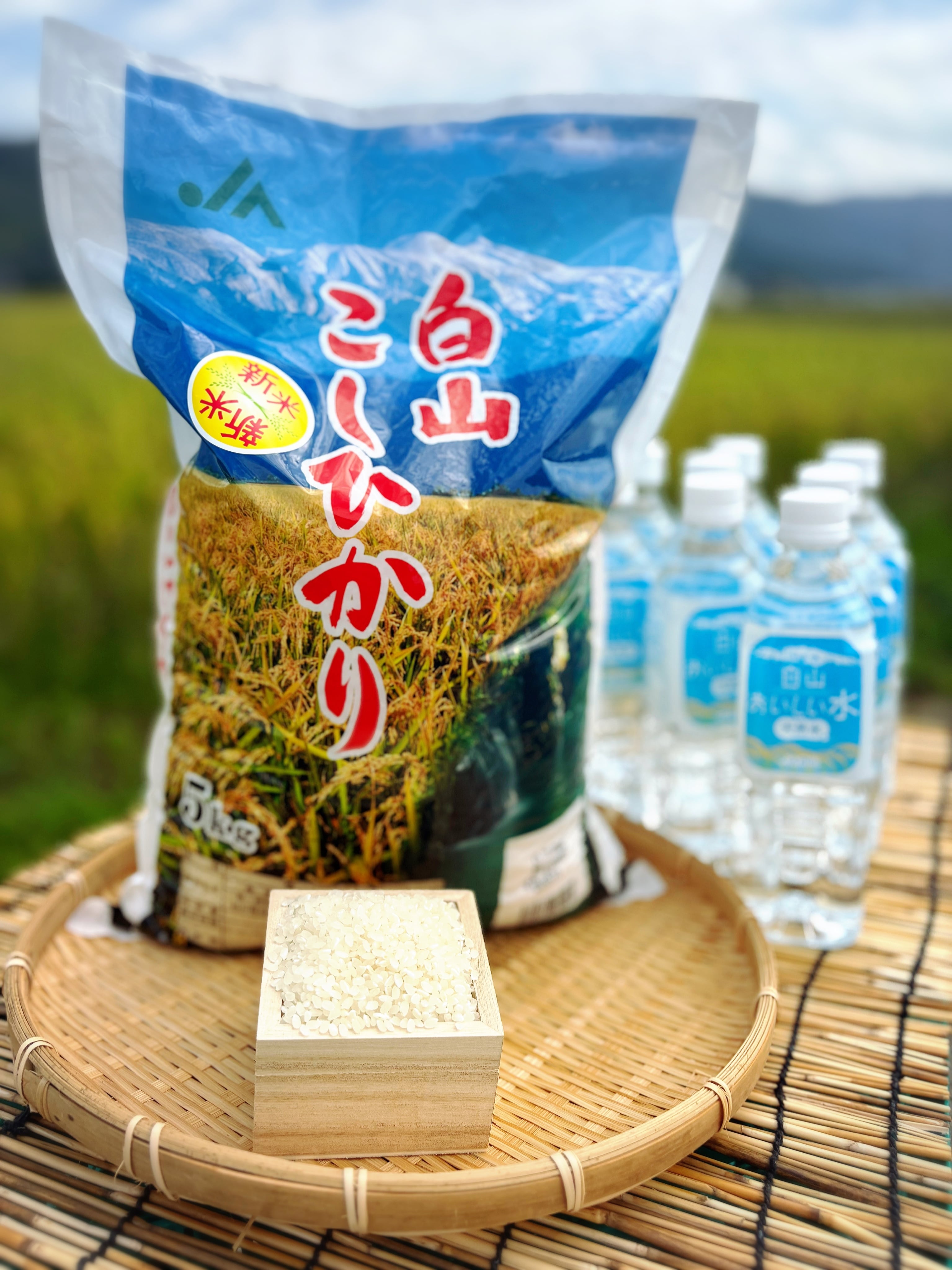 よらんかいねっと