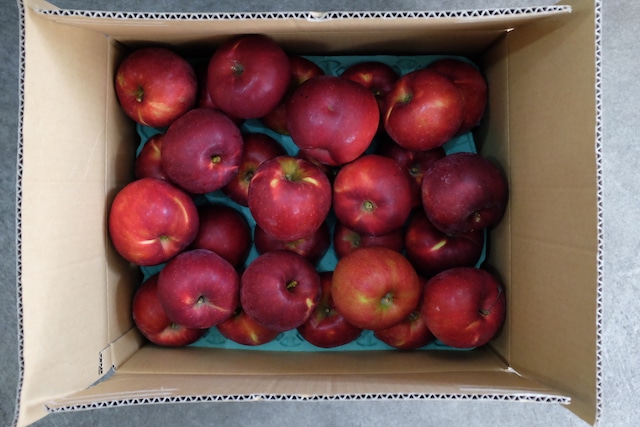 《数量限定》季節限定グラノーラ  【カカオとヘーゼルナッツ】150g