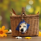 color woolfelt  羊毛バックチャーム