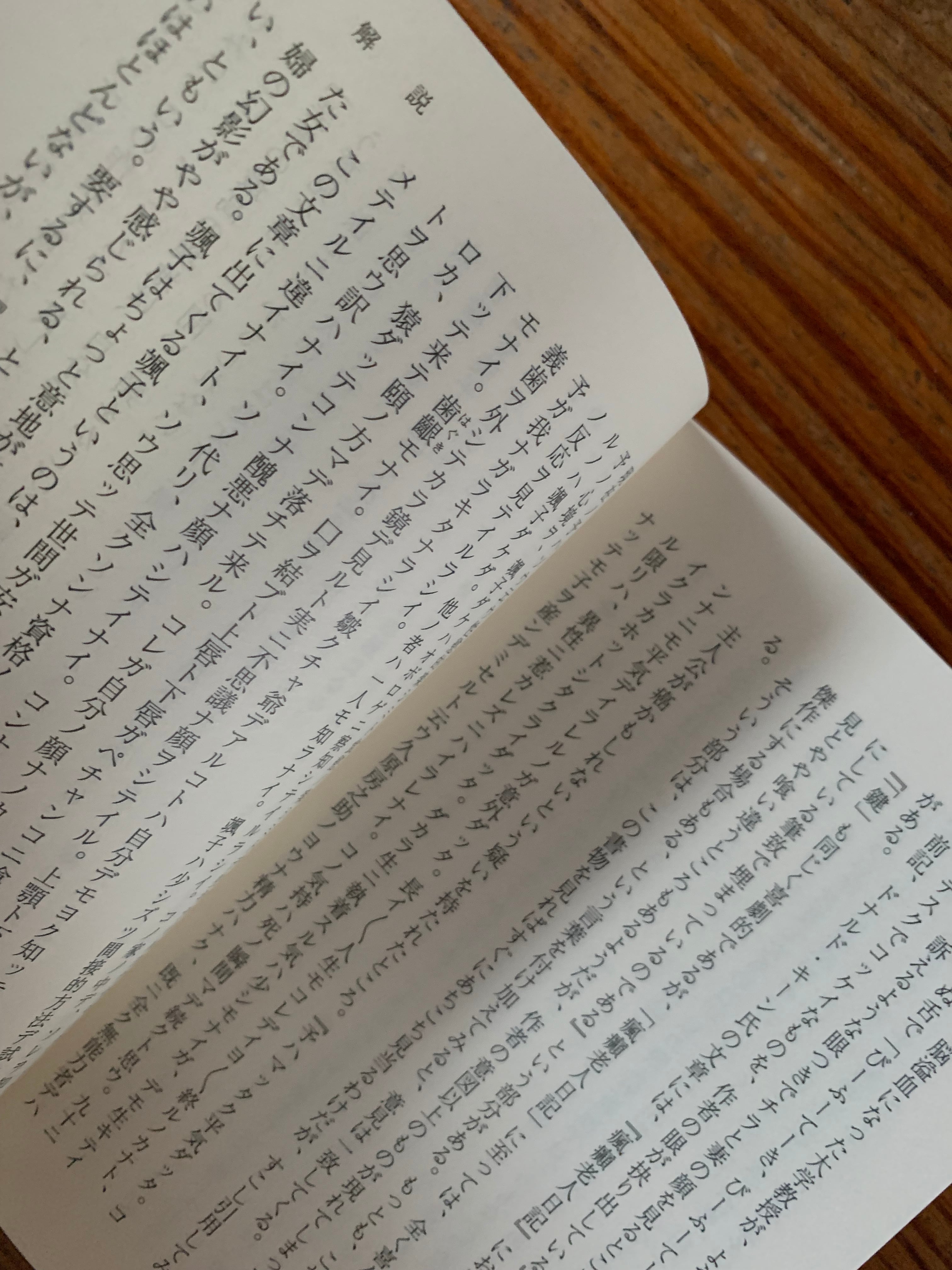 谷崎潤一郎『瘋癲老人日記 』 | STANDARD BOOKSTORE