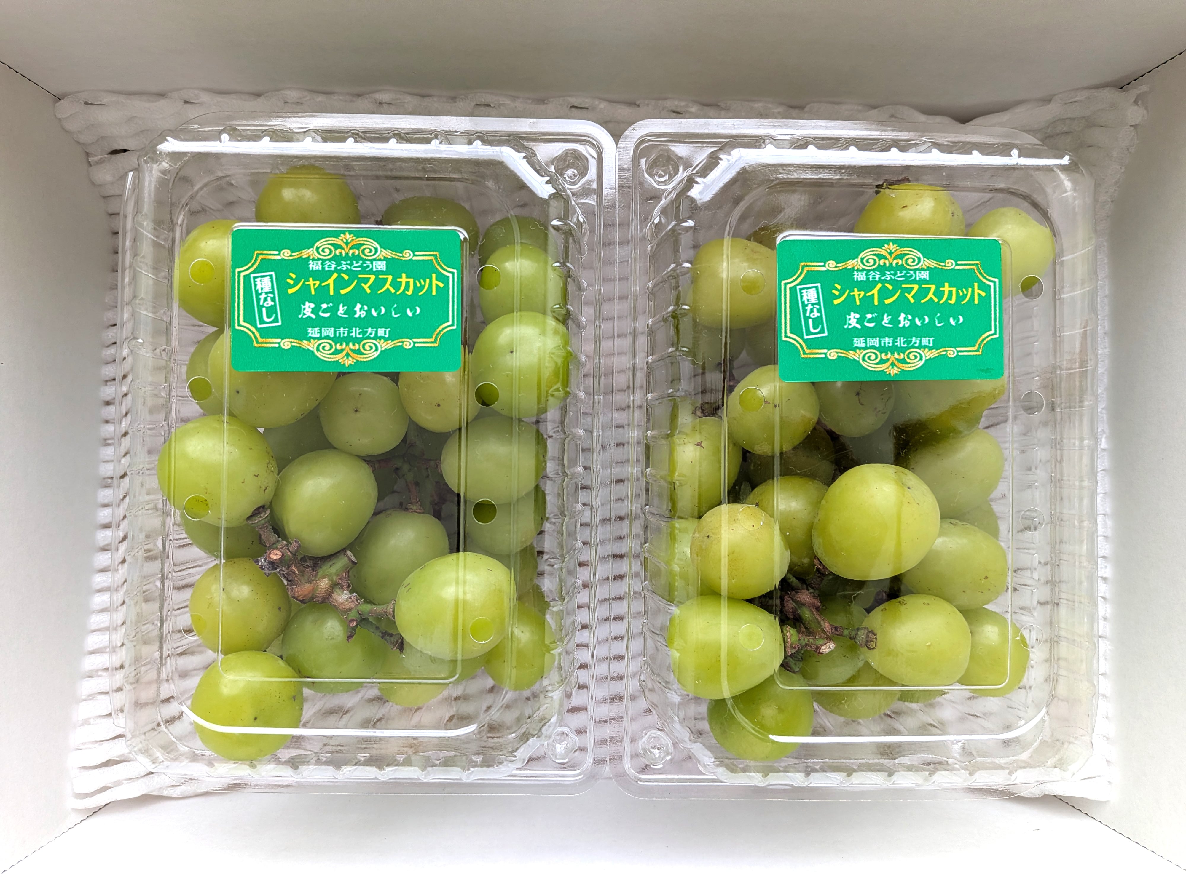 シャインマスカット 900g入り（バラ房パック）【福谷ぶどう園】026