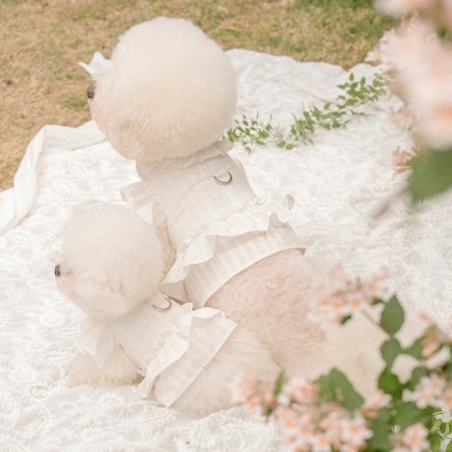 予約【pecoramou select】Sucre harness