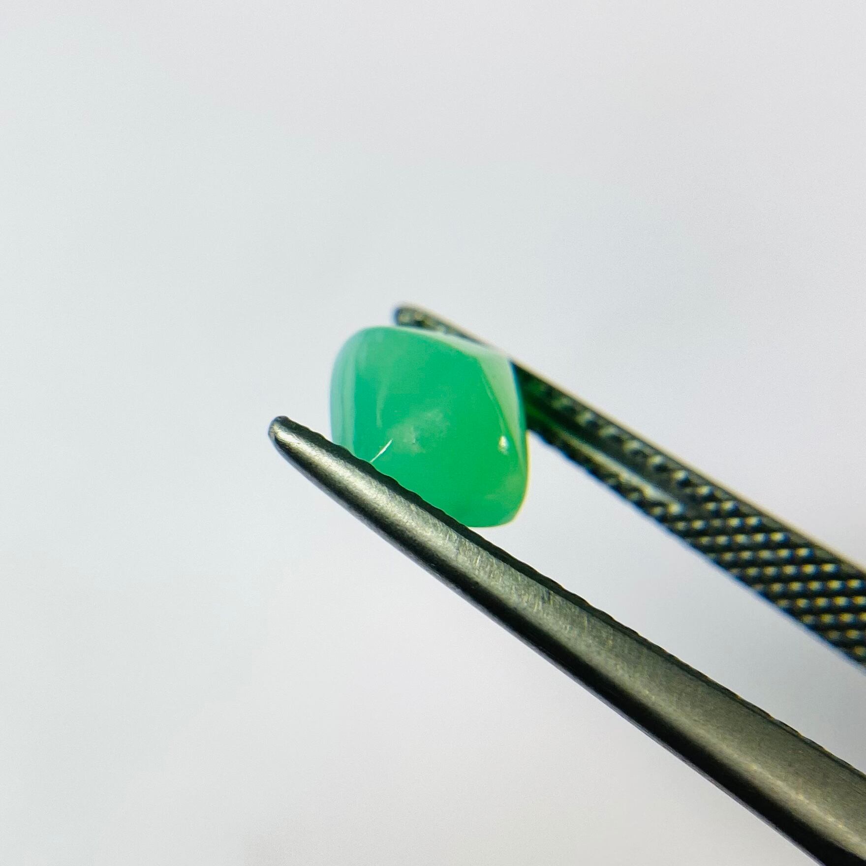 初売! シュガーローフ3色セット