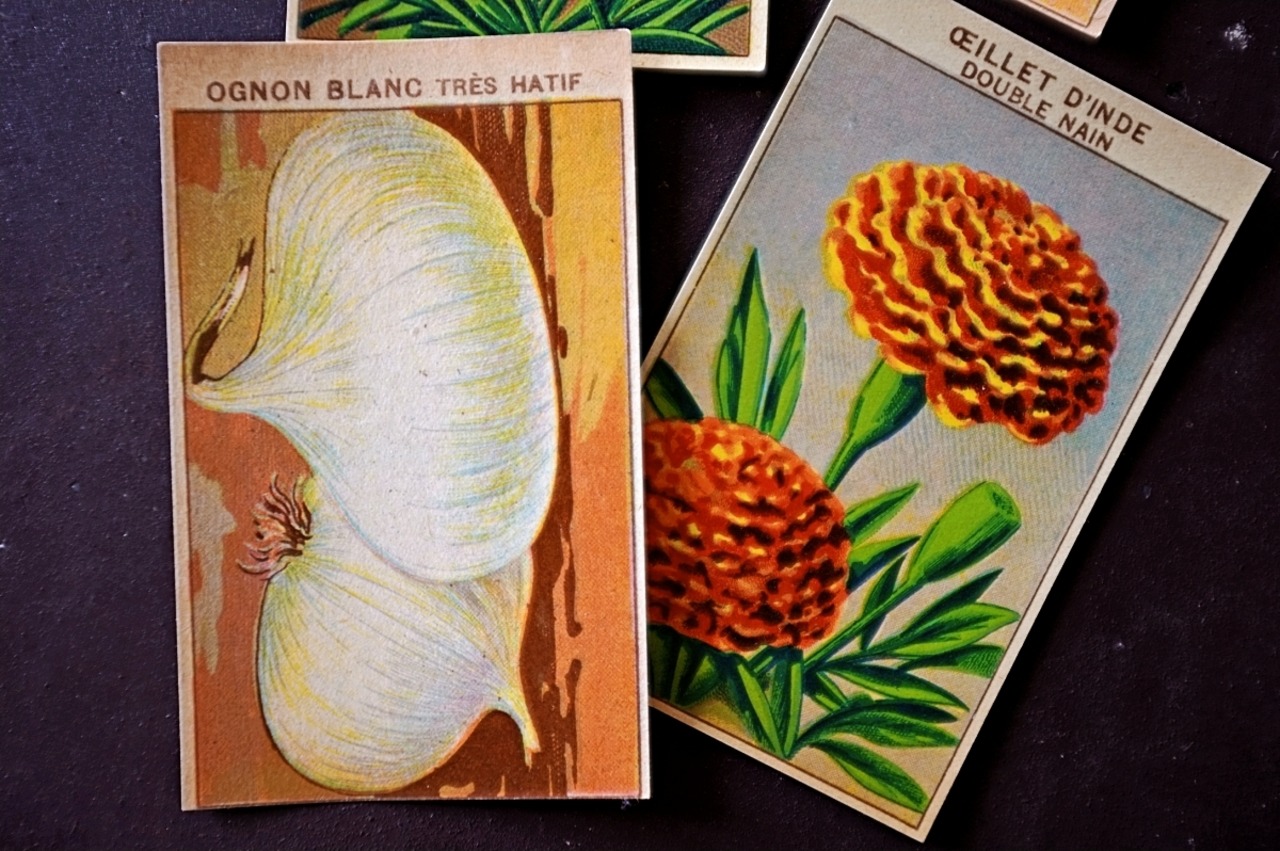 20s フランス 4set 膨満な花々と野菜たち 種子袋用ラベルx アンティーク