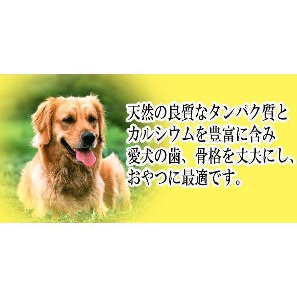訳ありスーパーSALE】犬用無塩煮干し1Kg おやつ 無添加 国産ワン