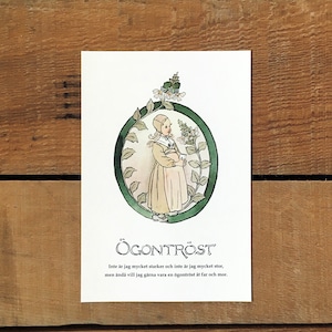 ポストカード「コゴメグサ@ÖGONTRÖST（王子たちの花文字 - 29）」