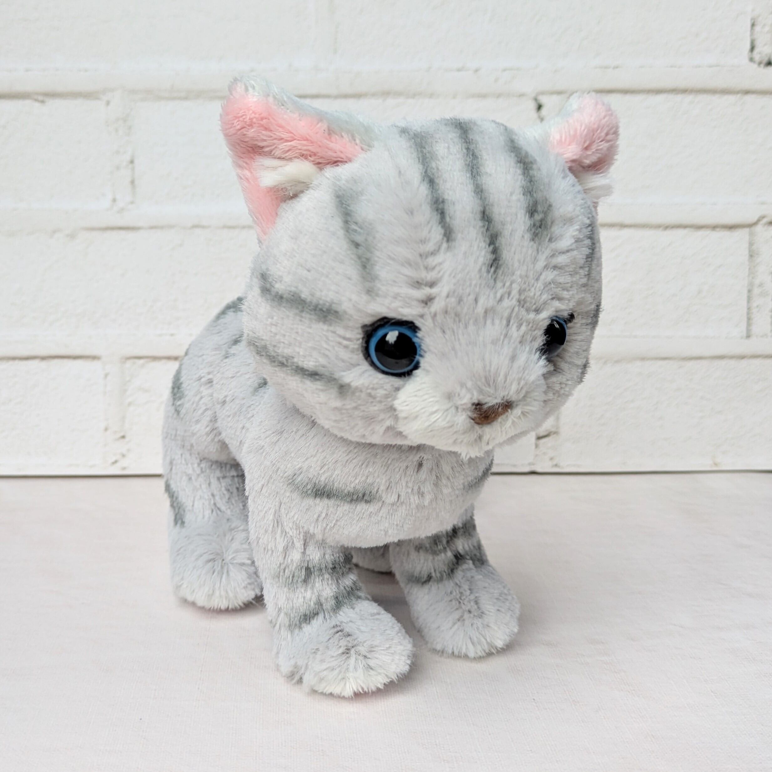 KOESEN ケーセン　アメリカンショートヘア　ぬいぐるみ kitten』シリーズ ぬいぐるみ アメリカンショートヘア GY① | Musette