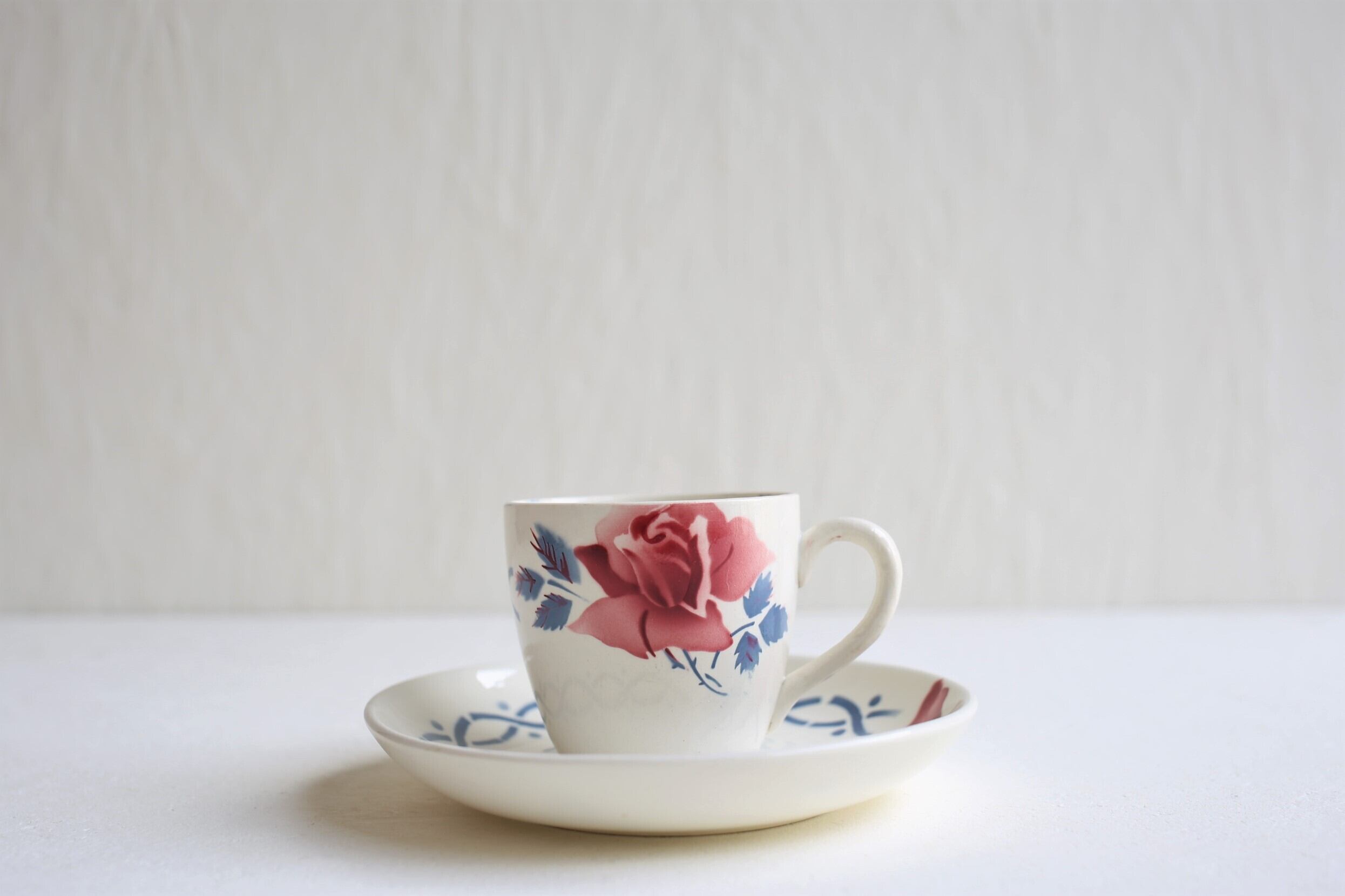 フランス アンティーク ヴィンテージ SARREGUEMINES サルグミンヌ 『JANINE』 カップ&ソーサーN-03569c