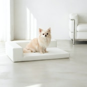 BUDDY BED WHITE