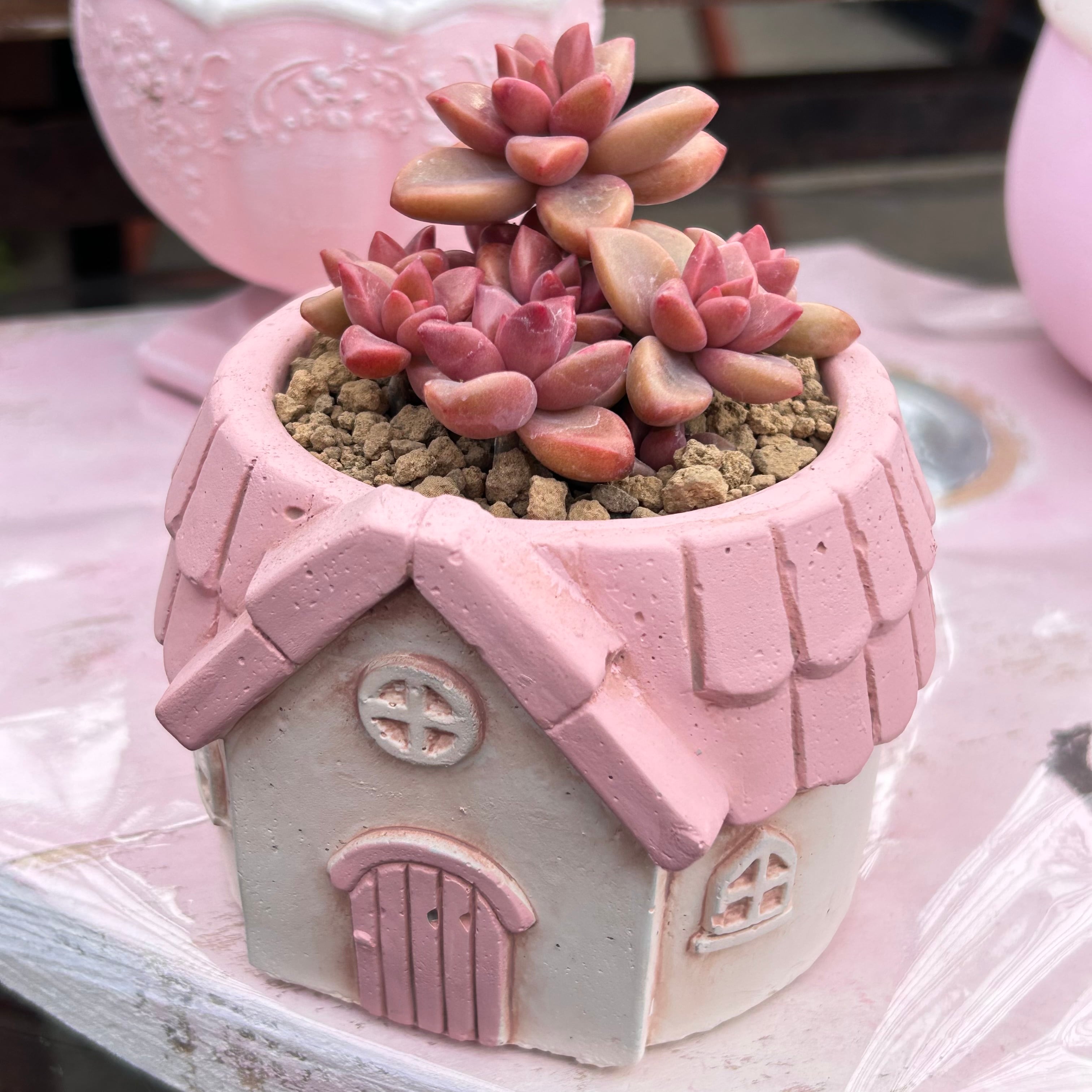 既製品鉢 | RuPo 多肉植物専門店