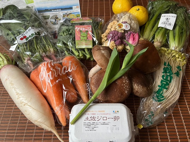 【完売御礼】ベジバルーンセット（3月）（弥生）『大地潤い初め春告げ野菜たち』を集めました！※セット写真は2月に出荷したベジバルーンです。