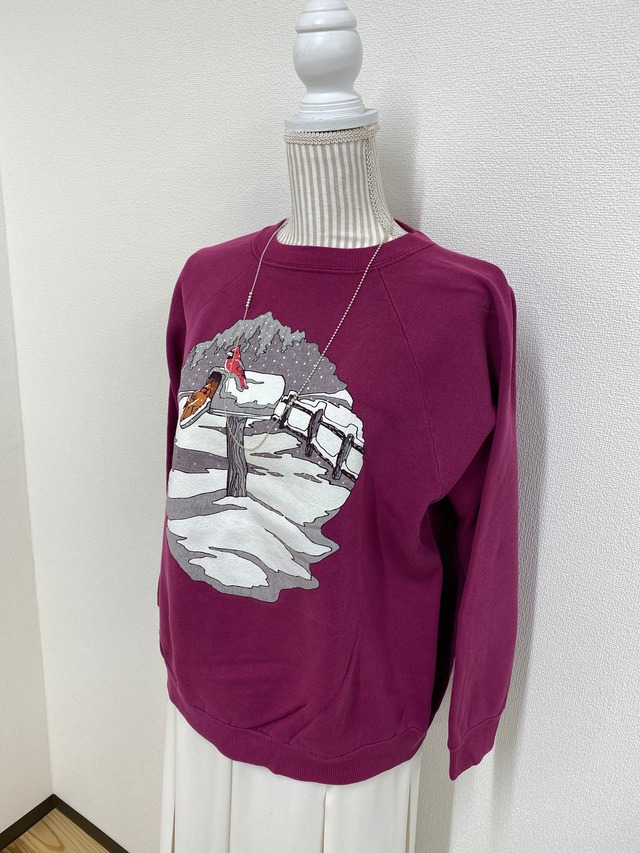 snow birds print sweat