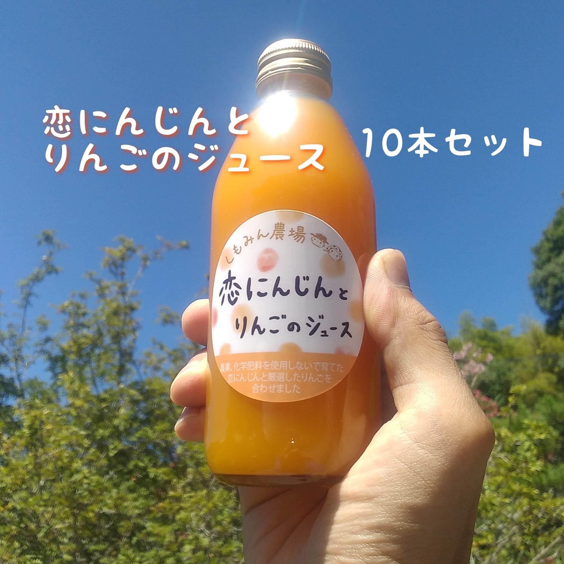 10本】恋にんじんとりんごのジュース | しもみん農場 オンラインショップ