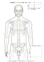 からだの白地図 男性(正面)