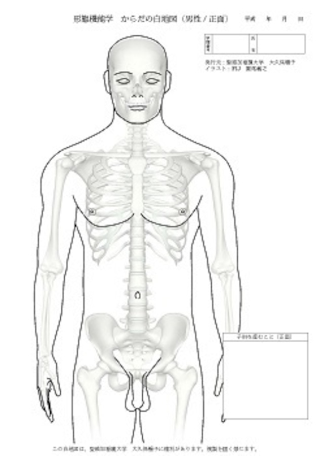 からだの白地図 男性(正面)