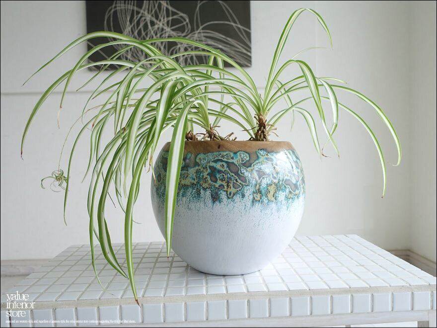 モンキーポッド総無垢材 プランツカバーΦ25cm 鉢カバー プランツポット