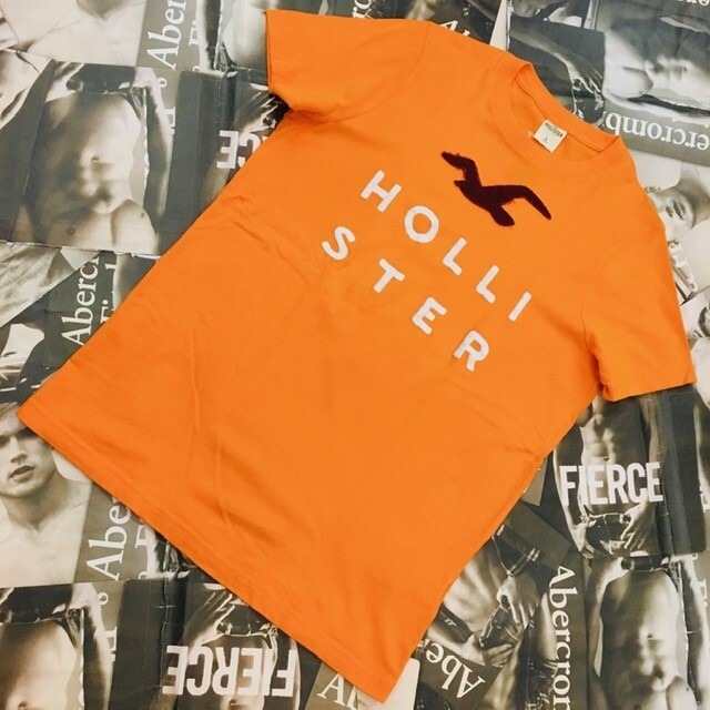 HOLLISTER　MENS　Ｔシャツ　Ｌサイズ