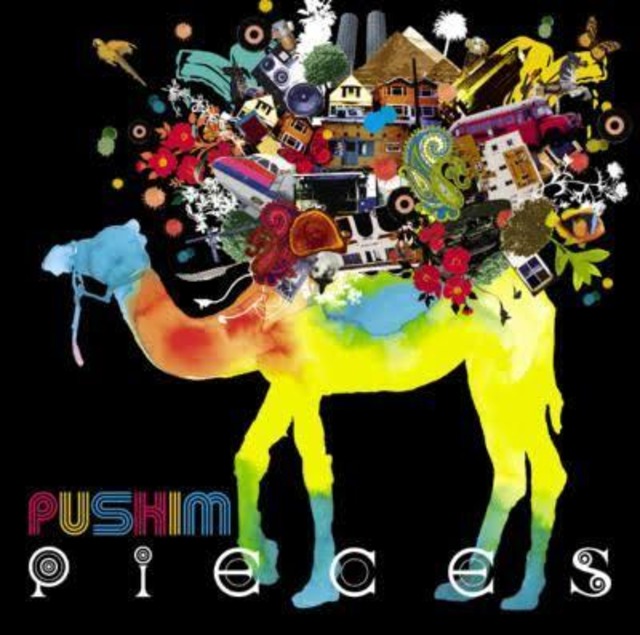Pushim ‎– Pieces 【CD】