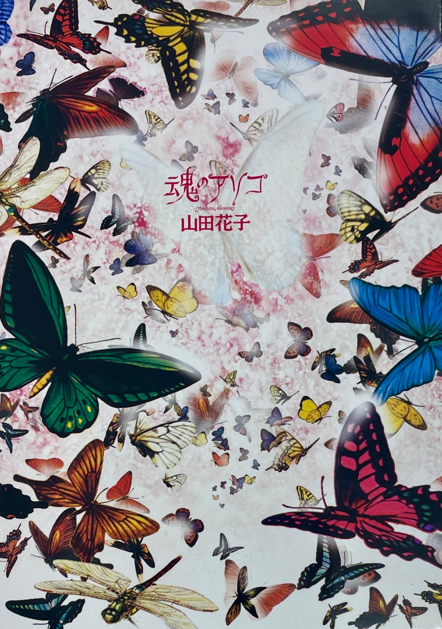 魂のアソコ 山田花子 限定1000部 青林堂 | Take UME テイクユーエムイー