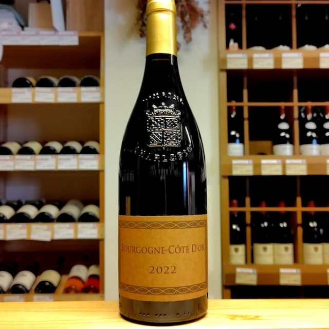 ﾌﾞﾙｺﾞｰﾆｭ ﾋﾟﾉ･ﾉﾜｰﾙ2022 / ﾌｪｳﾞﾚ（赤ワイン）