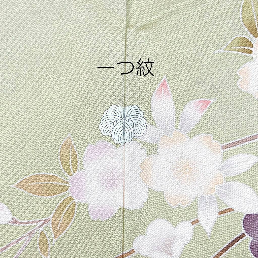 じゅらく帝王紫 刺繍 友禅 希少 訪問着 花柄 正絹 黄緑 紫 水色 984