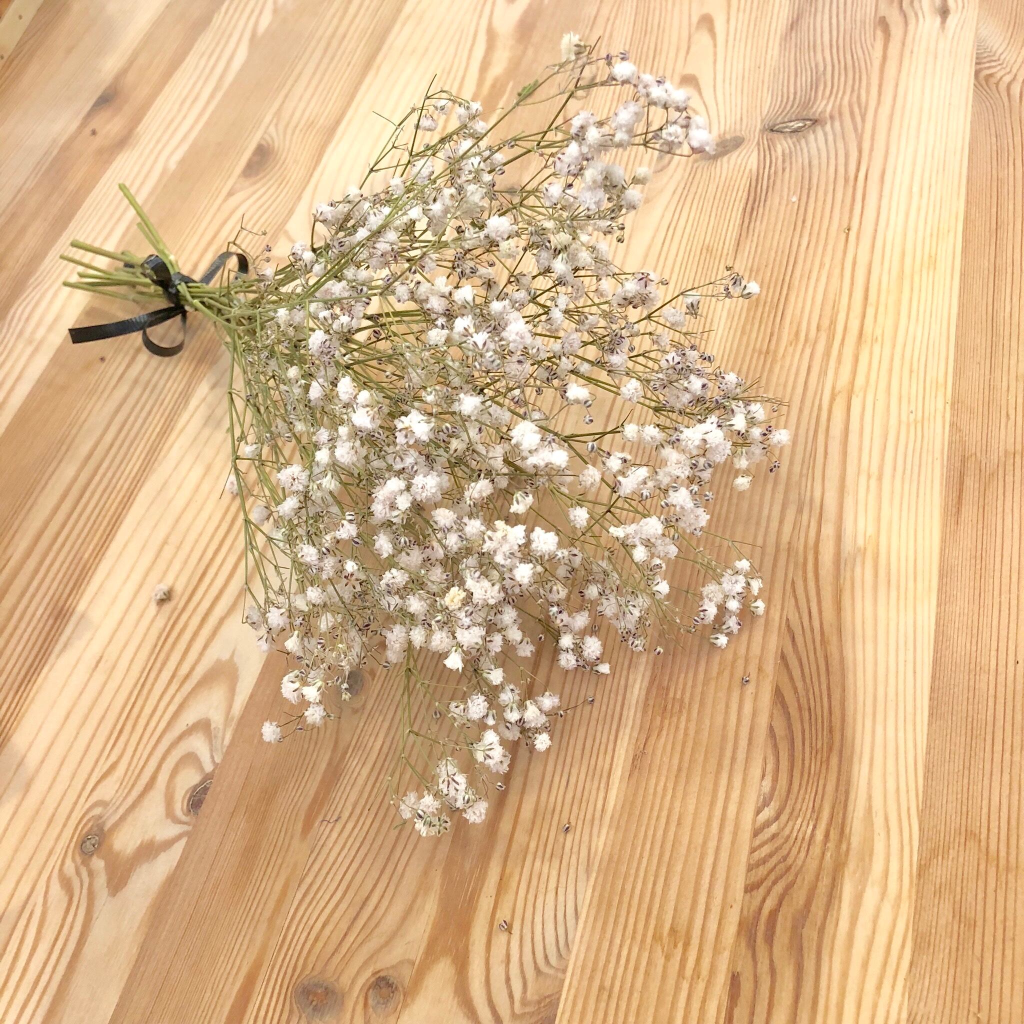 ドライフラワー かすみ草 A Flowers