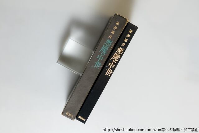 悪魔の中世 西洋美術史の暗黒 / 澁澤龍彦 [39812][並下] | 書肆田高