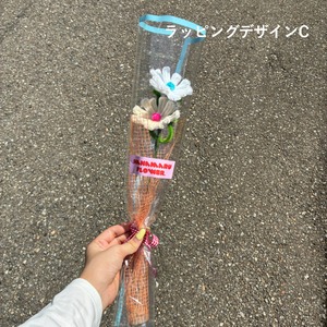 【秋季限定】kosmos／ コスモス | fuwafuwa flower