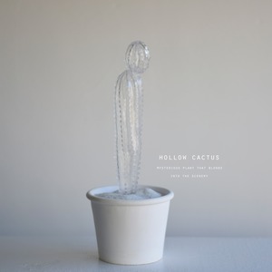 hollow cactus ピアウシエンシス