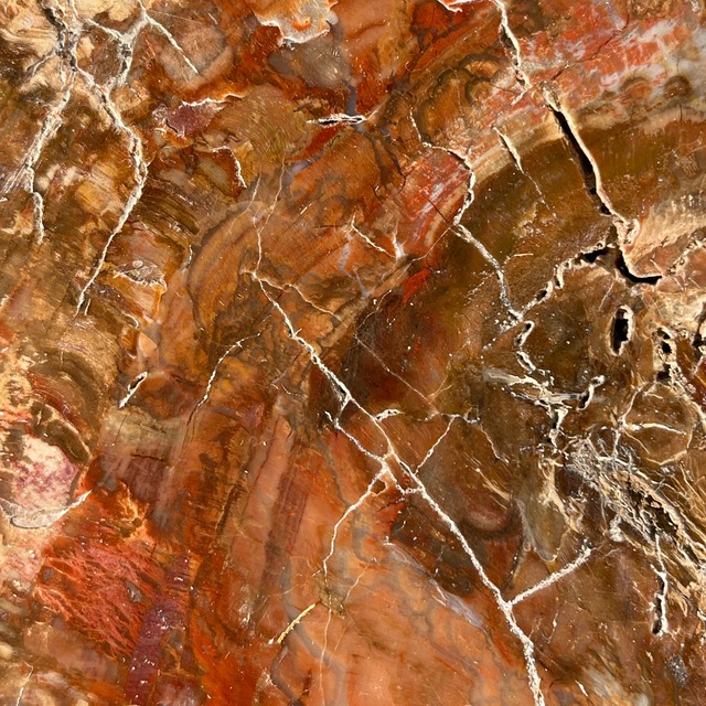 【ペトリファイドウッド（樹木の化石）】ビッグスラブ 鉱物 天然石 パワーストーン