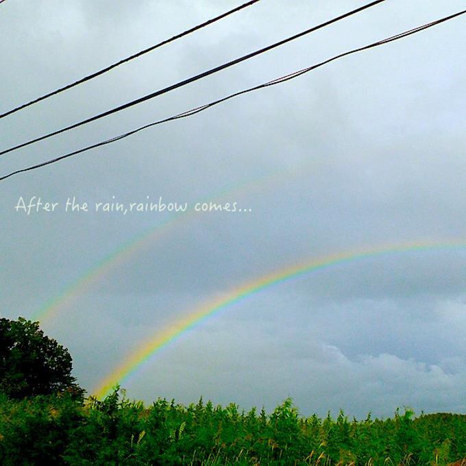 【SV925】✦RainDropRainbow✦.·一粒の虹の雫レインボームーンストーンネックレス.·✦