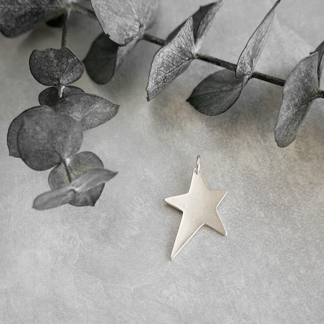 ネックレスチャーム プレートチャーム スター / silver　NP035