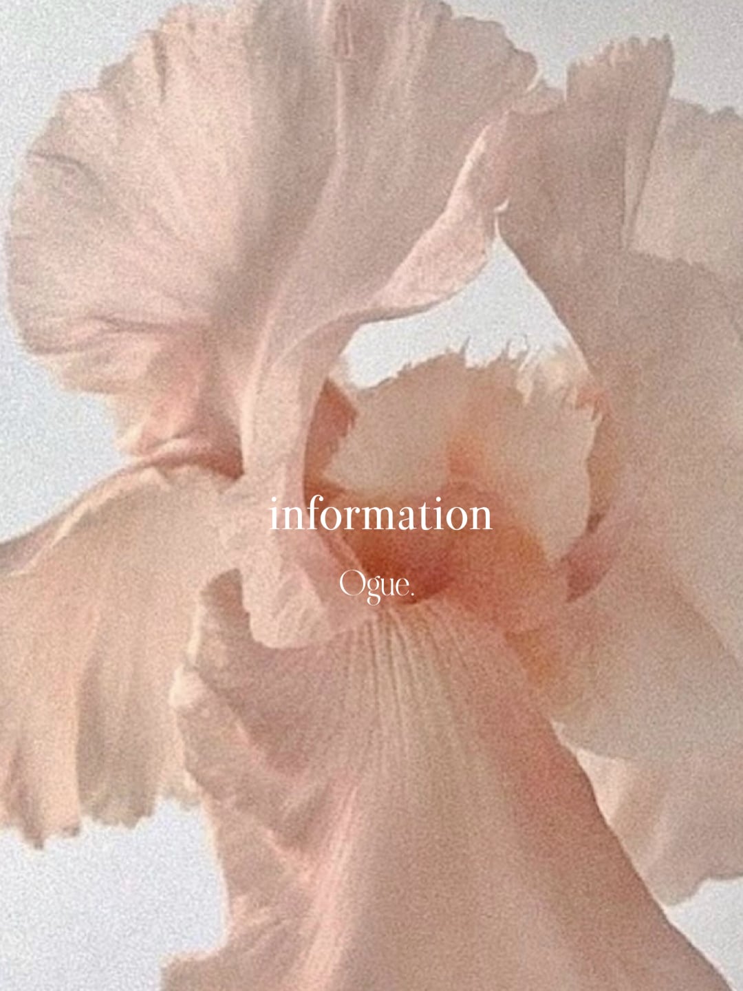 - ご購入前に必ずお読みください -