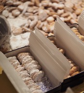 ティータイムセット［チーズパイとリゾート］