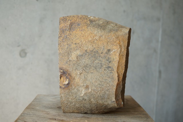 ウェールズ産三葉虫化石 Ogyginus Trilobite Fossil 1406