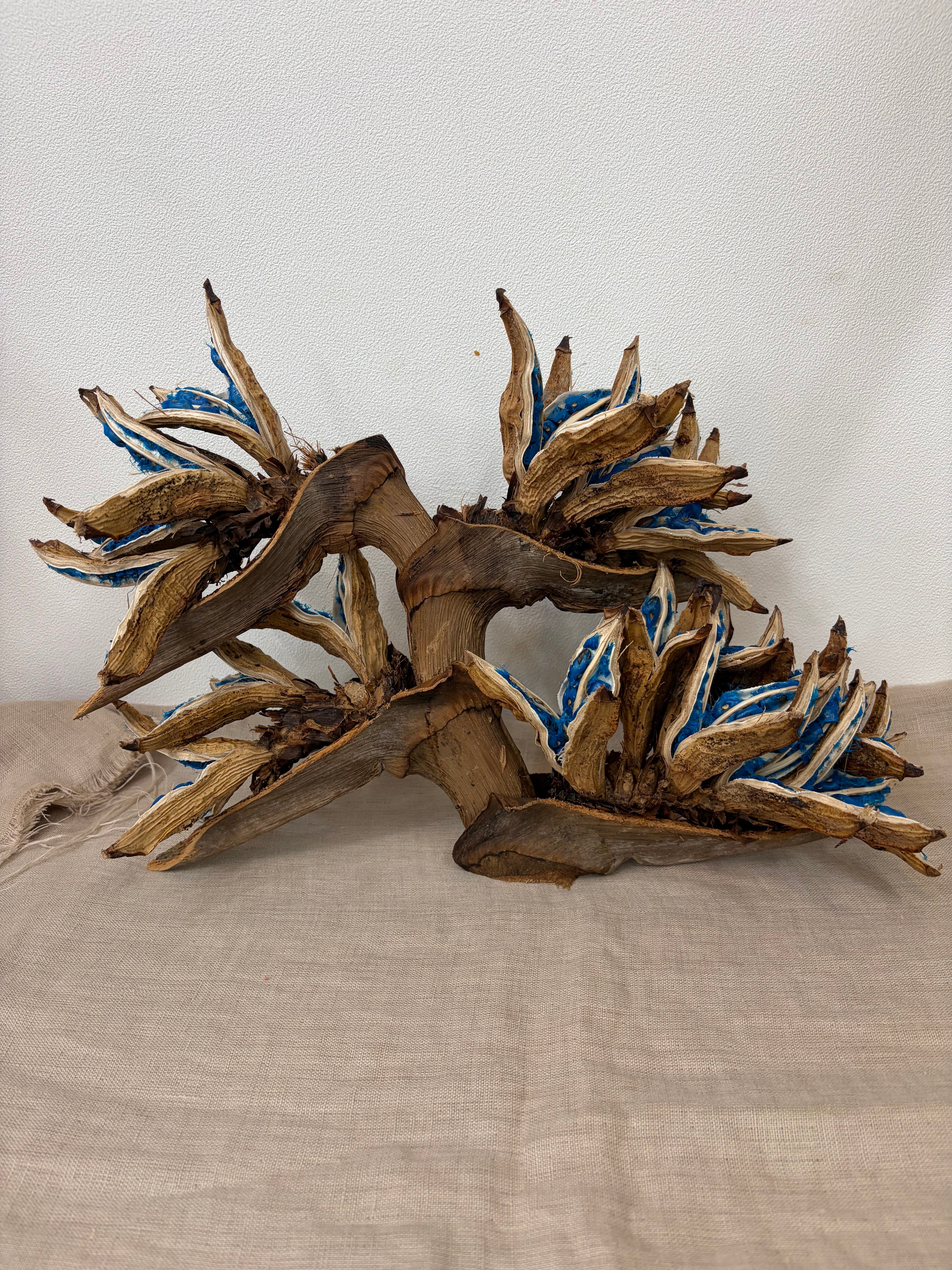 MADE in Nature 1shigaki