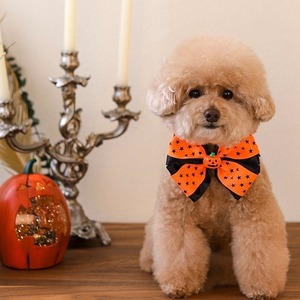 即納販売　Halloween Party item（orange S size cape）チョーカー単品ハロウィンアイテム　韓国ブランドwitiwiti"