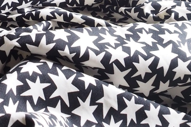 BAG Margarita 【Star × recycled felt】