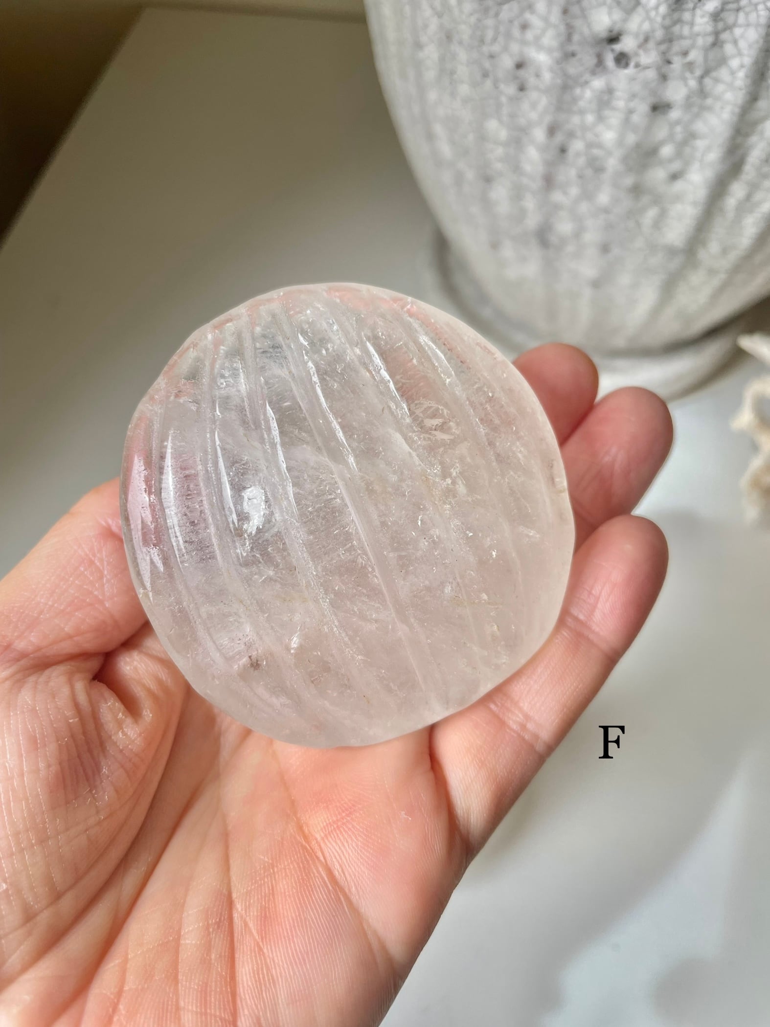 Crystal Shell / 水晶 貝 | AINA MINERALS