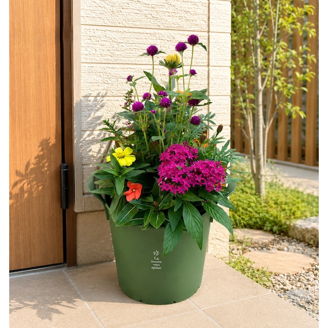 季節の寄せ植え  La nature ハンドリーポット 内径24cm  （グリーン・4色展開）６〜7種類のお花で構成 鉢植え ラッピング不可 ギフトメッセージOK