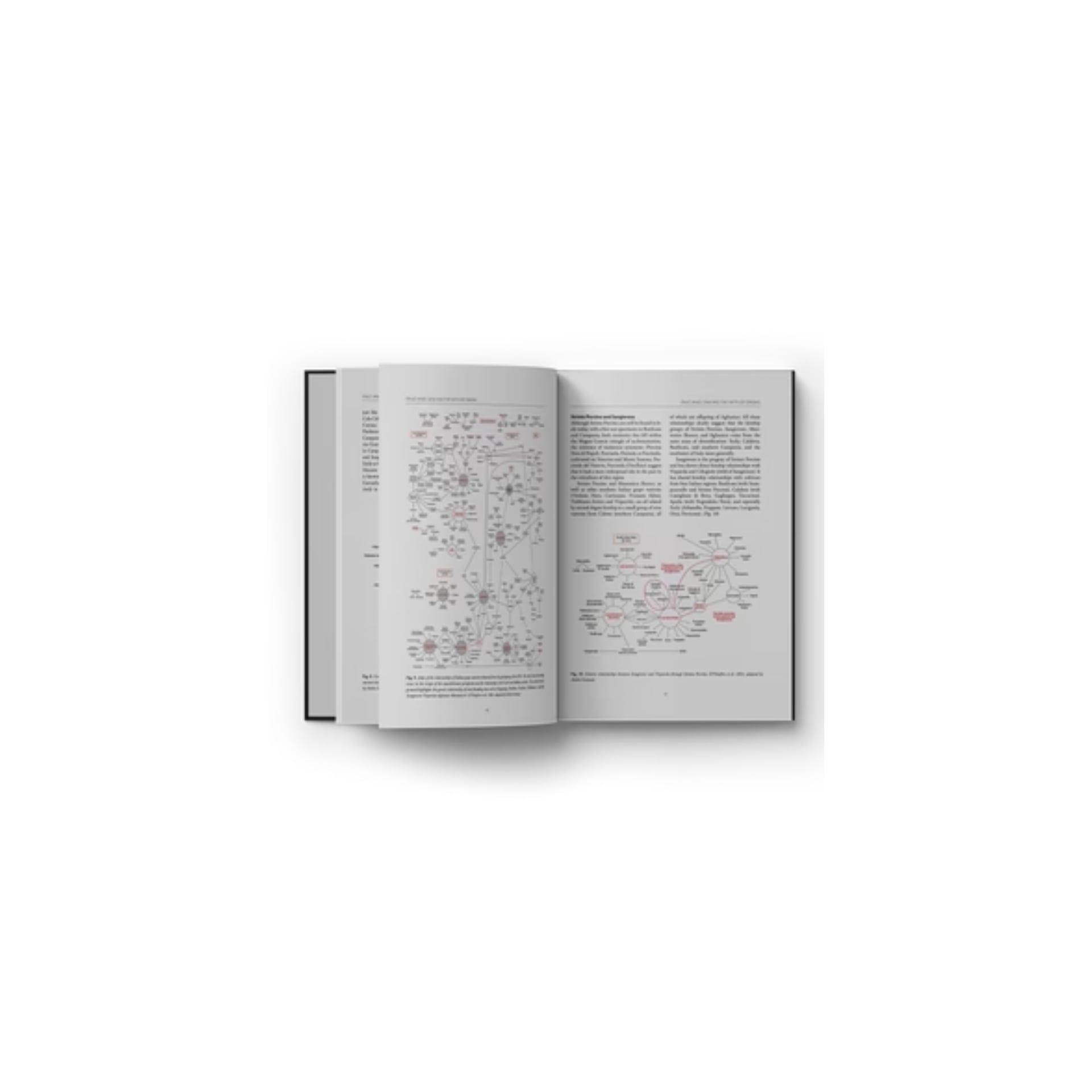 【魔女の愛読書】イタリアワインを品種から深く理解する1冊  Italian Wine Unplugged 2.0