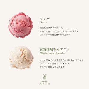 島の恵みジェラート（6個セット）
