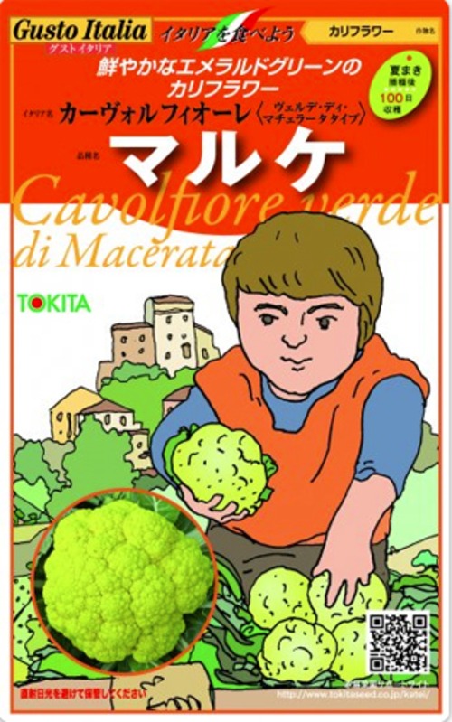 カリフラワー「マルケ」（小袋） 画像