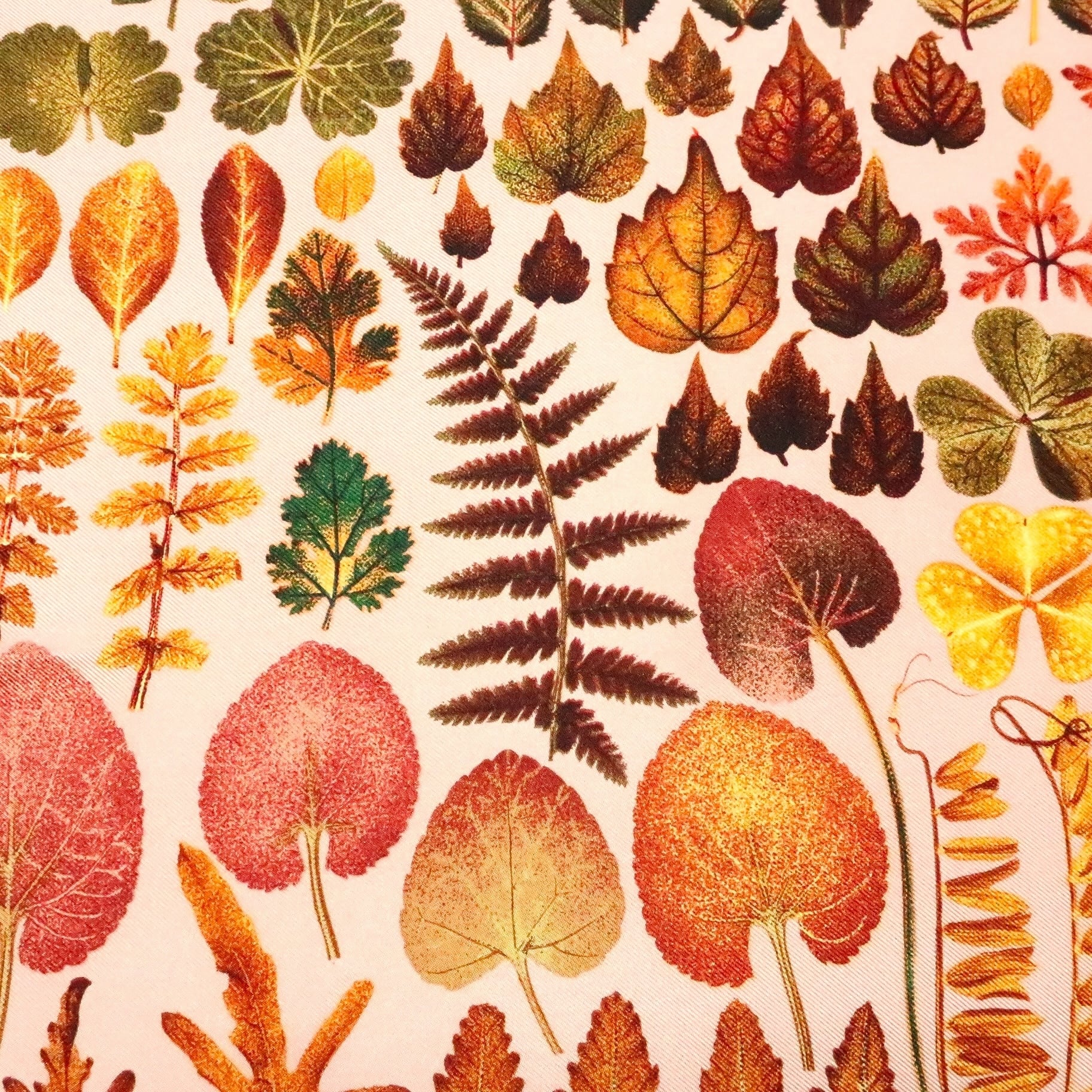 gucci シルク大判スカーフ キノコ 植物柄 グッチ GUCCI/スカーフ 植物 リーフ カラフル アイボリー クローバー