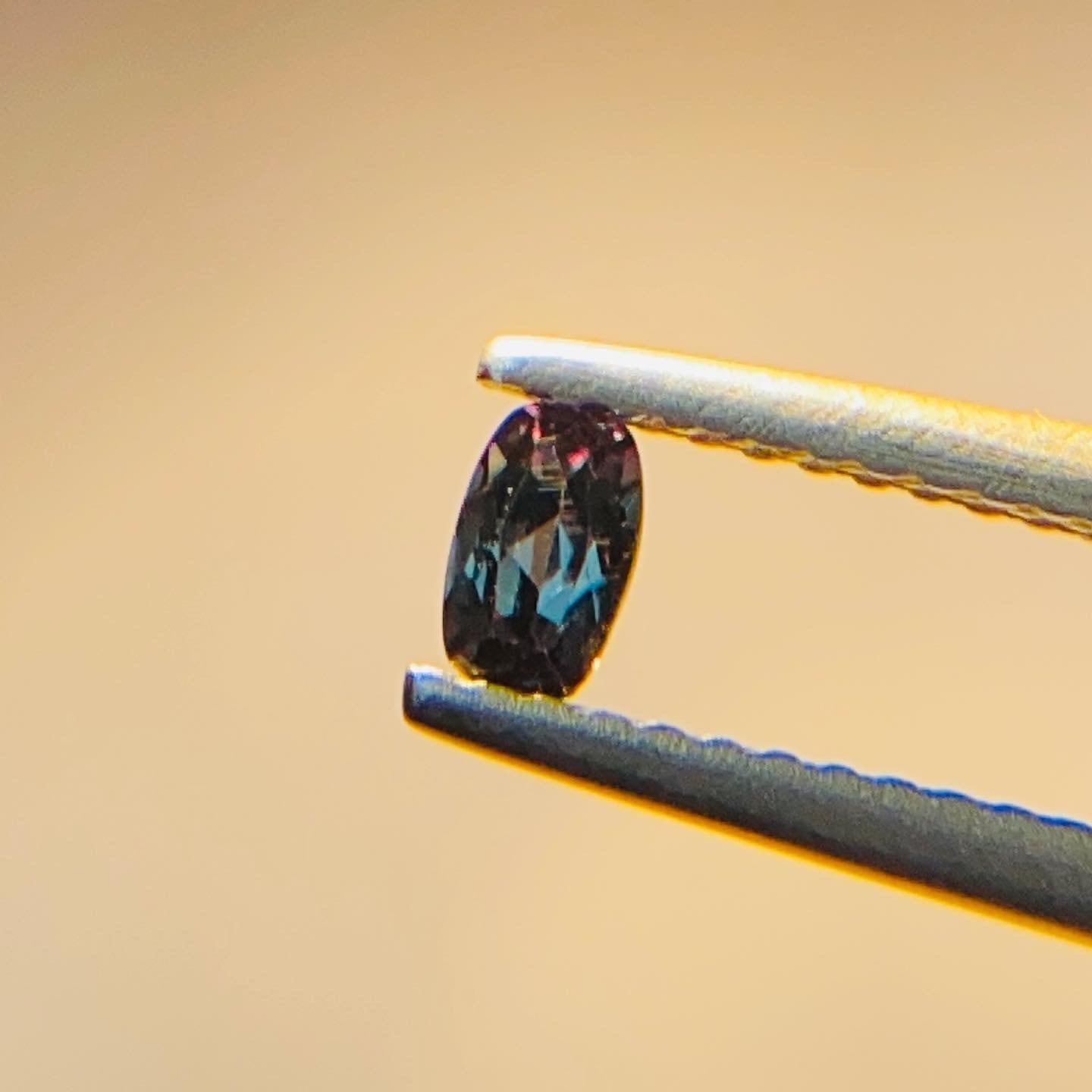 三変化　ベキリーブルーガーネット