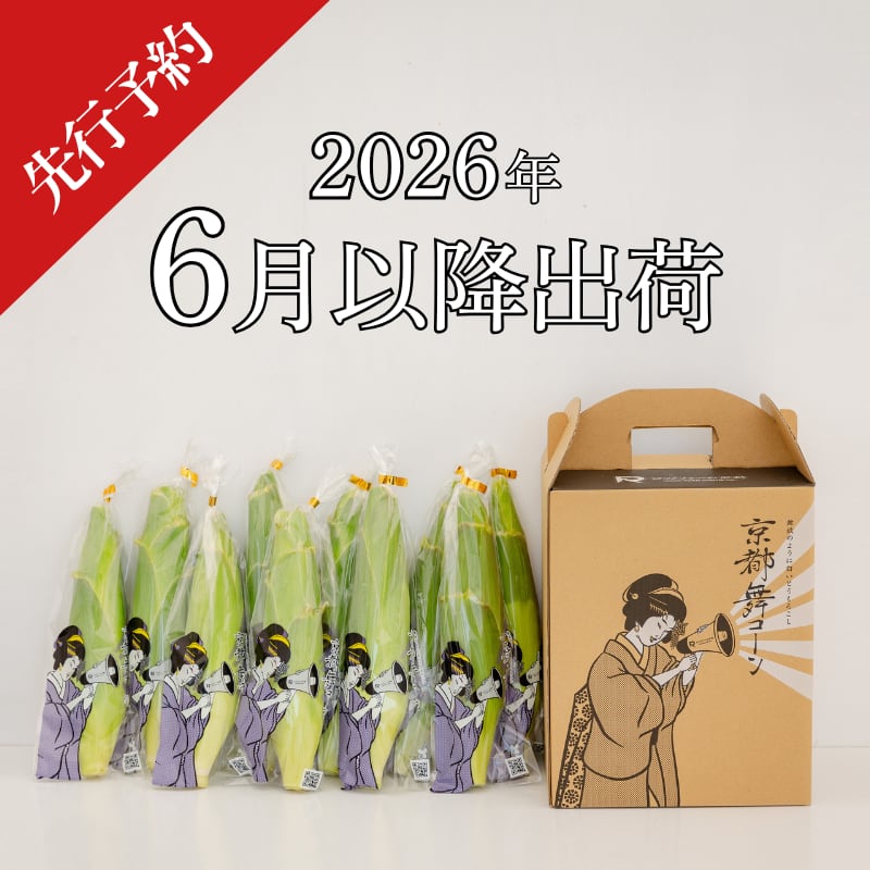【 2026年6月以降出荷 】 ”京都舞コーン” 10本入