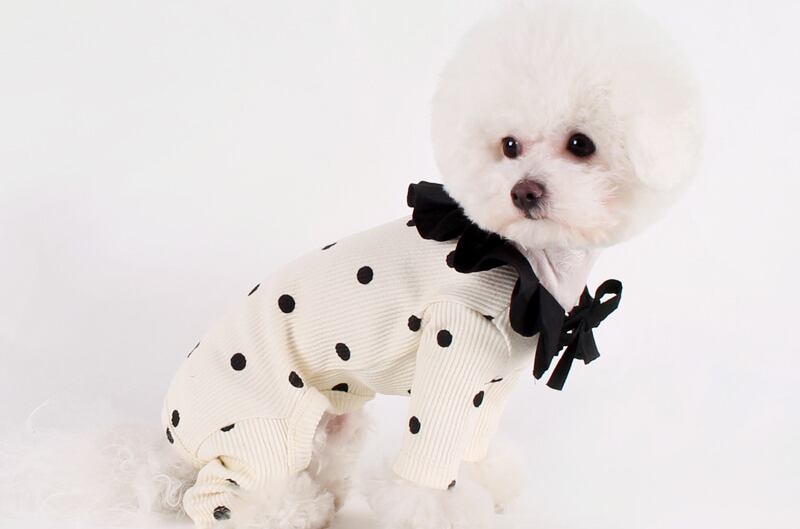 ドットフリル オールインワン S ~ XL 2color  /  犬服 新作 ドッグウェア 小型犬 中型犬 大型犬 犬の服 わんちゃん ペット