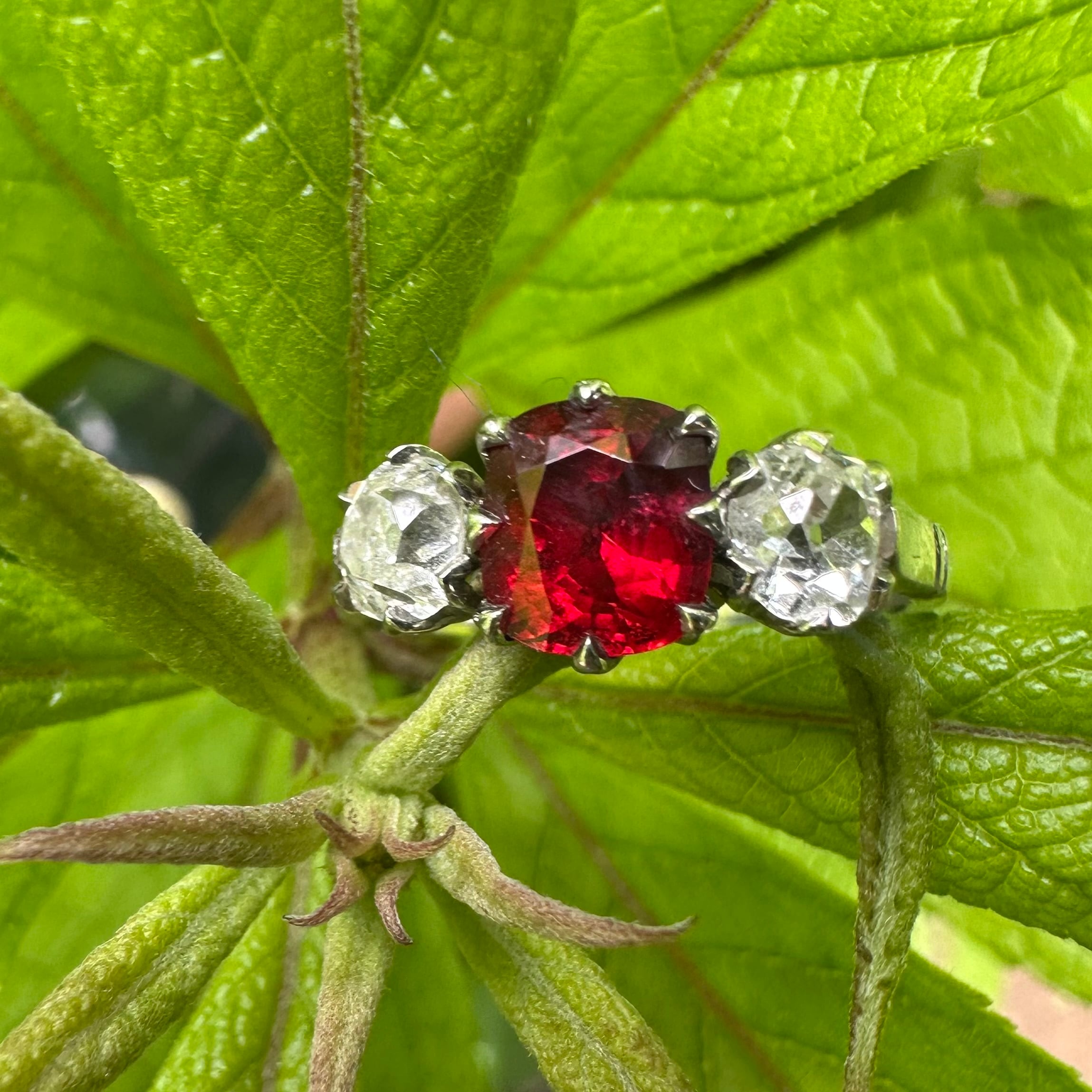 Red Spinel and Diamond Ring | Victorian Box