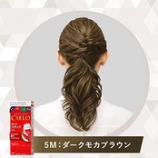 【医薬部外品】 ヘアカラーEXクリーム