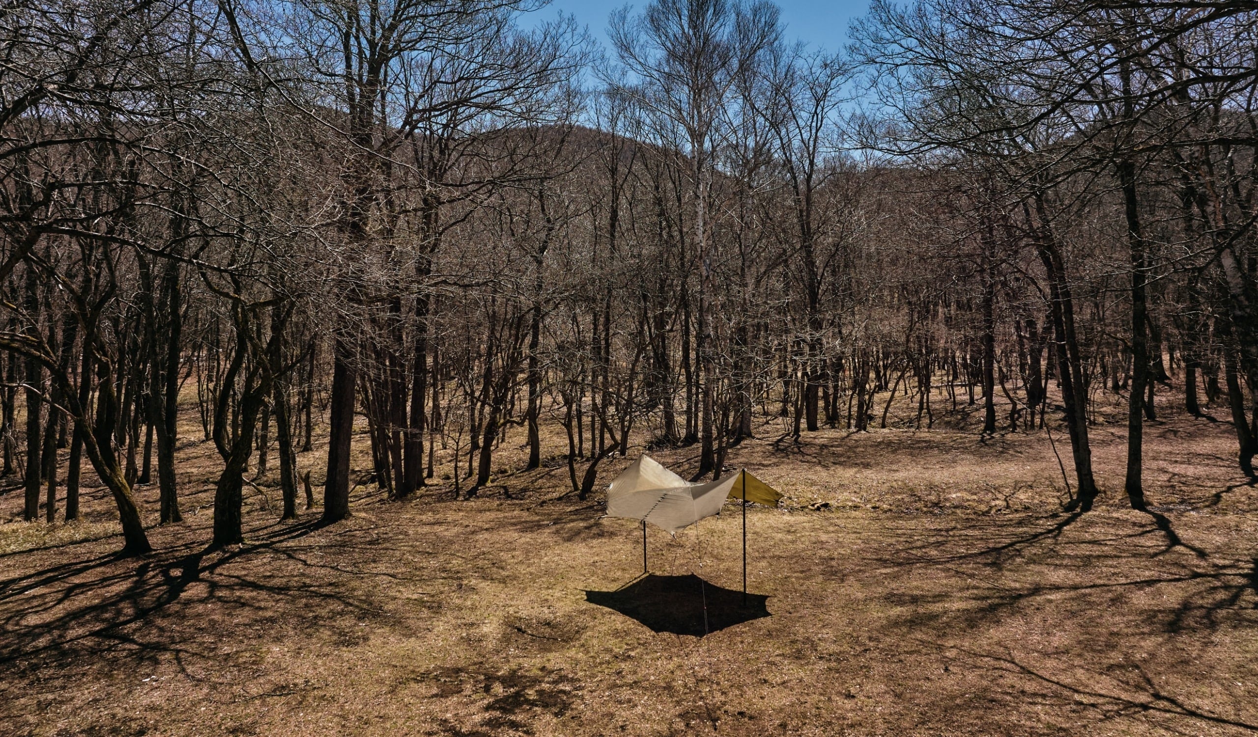 THE NORTH FACE】Nebula Tarp 2 | WOODS
